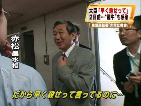 イタグレと猫と同居人